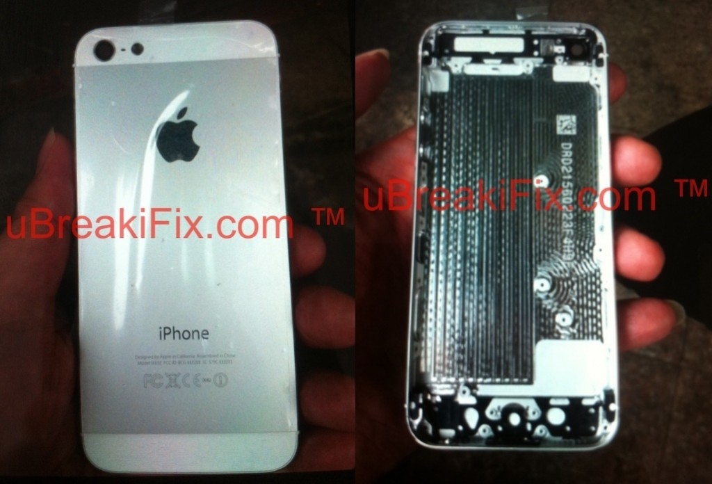 iPhone 5 White Back Side