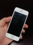 iPhone 5 iOS 6 Boot